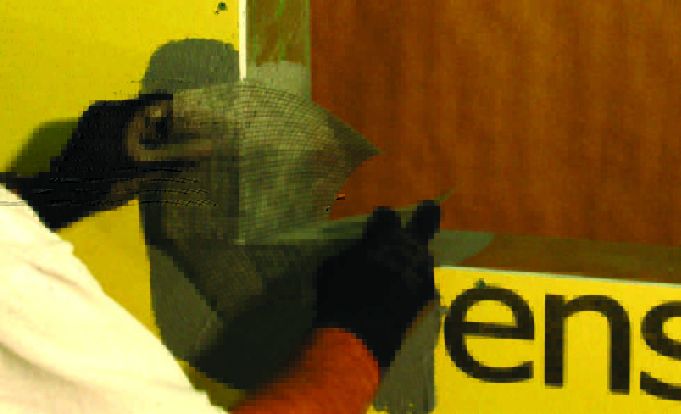 SikaWall-95 Quick Corner Step 3